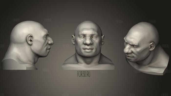 Neanderthal Head 3d stl модель для ЧПУ